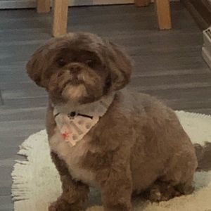 Meet your Posher, Elizabeth